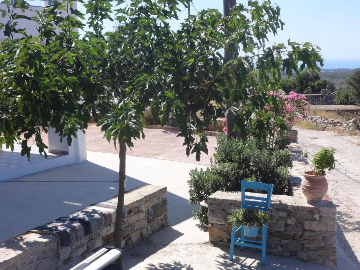 Theros House Agios Ilias  外观 照片
