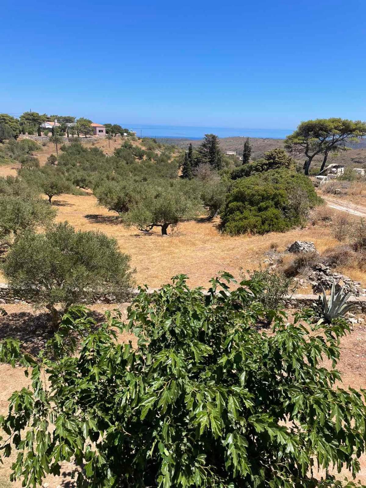 Theros House Agios Ilias  外观 照片